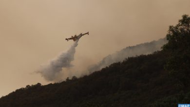 إقليم تطوان.. السيطرة على حريق غابة بني إيدر بجماعة الخروب