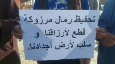 صور: نيوماتيفي