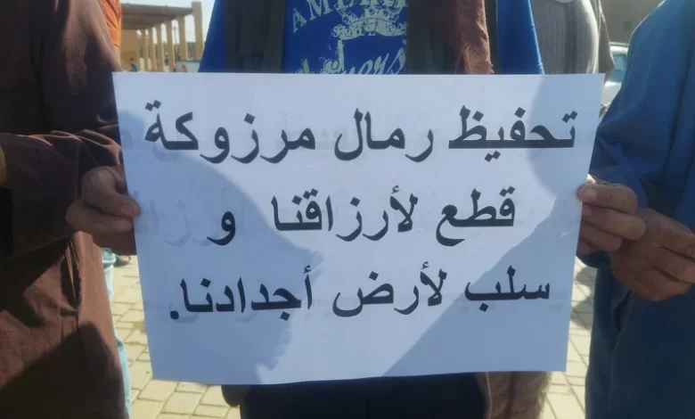 صور: نيوماتيفي